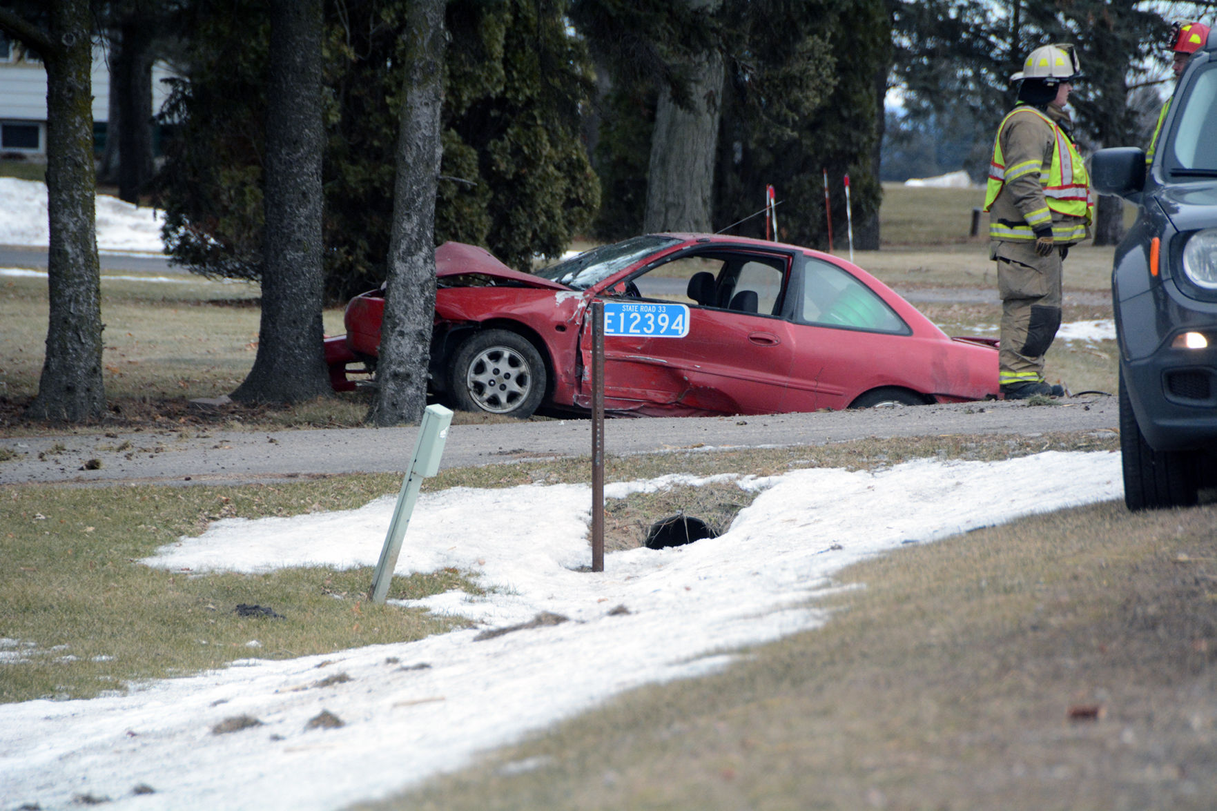 Car vs. trees